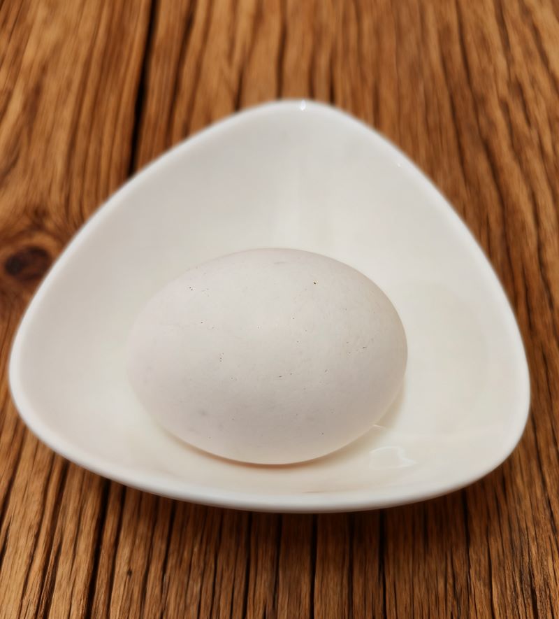 生雞蛋
